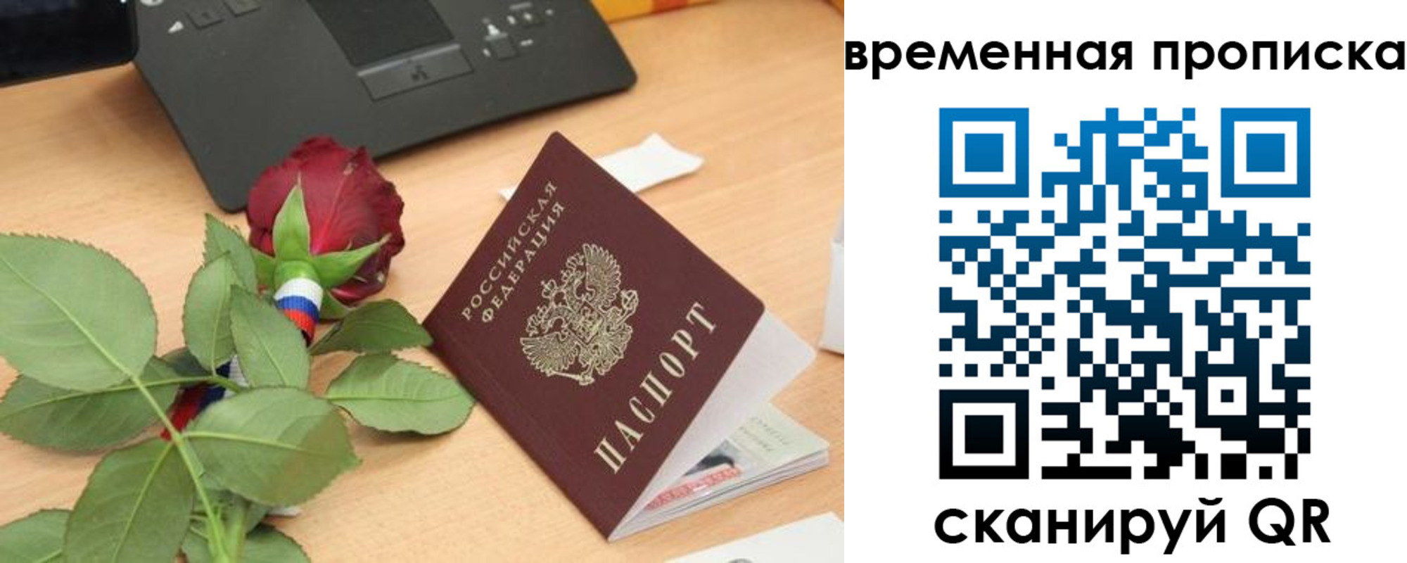 временная регистрация поиск в Суворове